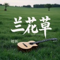 社长 - 兰花草