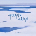 王娜 - 哪里有什么天荒地老