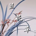 轻烟大叔 - 兰花草