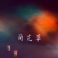 王大泽 - 兰花草