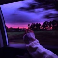 CRUISE CONTROL