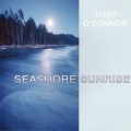 Tony O'Connor - Oyster Catcher