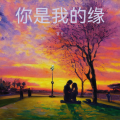 X Y - 想问情深有几许