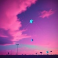 SUL