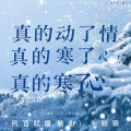 真的动了情真的寒了心