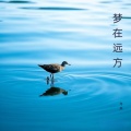 岺夙 - 流水桃花