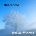 Webster Wuckert - Sun
