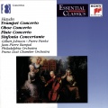 Franz Liszt Chamber Orchestra、jean-pierre rampal、Liszt Ferenc Kamarazenekar、Leopold Hofmann - Concerto for Flute and Strings in D Major, Hob.VIIf: D1: III. Allegro molto