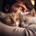 Ayudante para aliviar el estrés、Estación Felina、Reserva de Sonidos Naturales - Suaves Sonidos Nocturnos Felinos