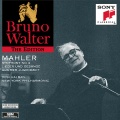 Bruno Walter、Gustav Mahler、Desi Halban - Lieder und Gesänge aus der Jugendzeit (Excerpts) : Book 2, No. 2, Ich ging mit Lust durch einen grünen Wald
