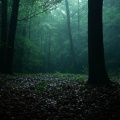 Rain Paris - Soft Rain Sleepscape