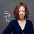 陈瑞 - 总为情伤