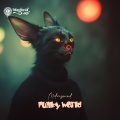 mikeeysmind - Funky World