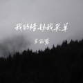 肖雨蒙 - 我的情劫我买单