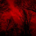 Dark Reaper Dubz、Djchicknorris Dubz - Dismal (feat. Djchicknorris Dubz)