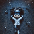 PK PAS (Explicit)
