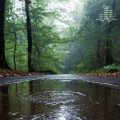 Puddle Rain (Loopable No Fade)
