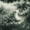 Silver, Vol. 12