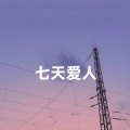 岑若蠹 - 七天爱人