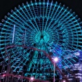 Wryota《りょうた》、初音ミク - ないがしろ