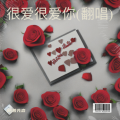 Dj普先森 - 很爱很爱你 (Dj普先森 remix)