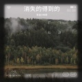 粤语小林哥 - 得到的消失的
