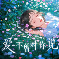 王晴 - 爱不曾对你说