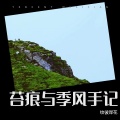 纹彼岸花 - 苔痕与季风手记
