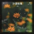 小徐 - 无法阻挡