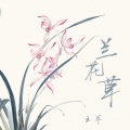 王军 - 兰花草