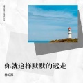 林锦源 - 你就这样默默的远走
