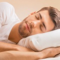 Núcleo musical、Efectos especiales del bosque、Sonidos de la naturaleza desconectados - Melodías Suaves Para Un Descanso Silencioso
