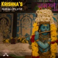 Divine Flute of Krishna Murali Meditations