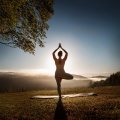 Lofi para codificar、Resplandor del yoga、Kundalini: Yoga Meditación Relajación - Los Tonos Delicados Fomentan La Concentración