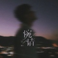 潇天 - 惋情