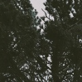 trxxshed、Fxrroh - Why’d you make it hurt