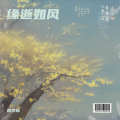 缘逝如风