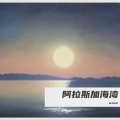 王老师 - 阿拉斯加海湾