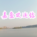 追梦 - 嘉鱼欢迎你