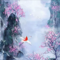 霏雪 - 香雪迟