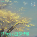 只为你着迷深情版