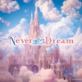 Never after Dream
