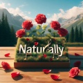 MISHAUN - Naturally