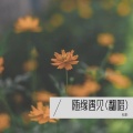 钰影 - 随缘遇见