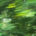 凌晨一点的莱茵猫、心语馆 - 逃向春天