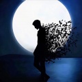Lunar Drift（月流）