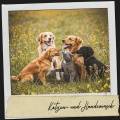 Katzen- und Hundemusik: Pfoten und Melodien