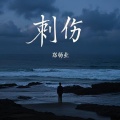 郑畅业 - 刺伤