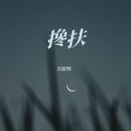 刘皮特 - 搀扶