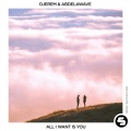 All I Want Is You